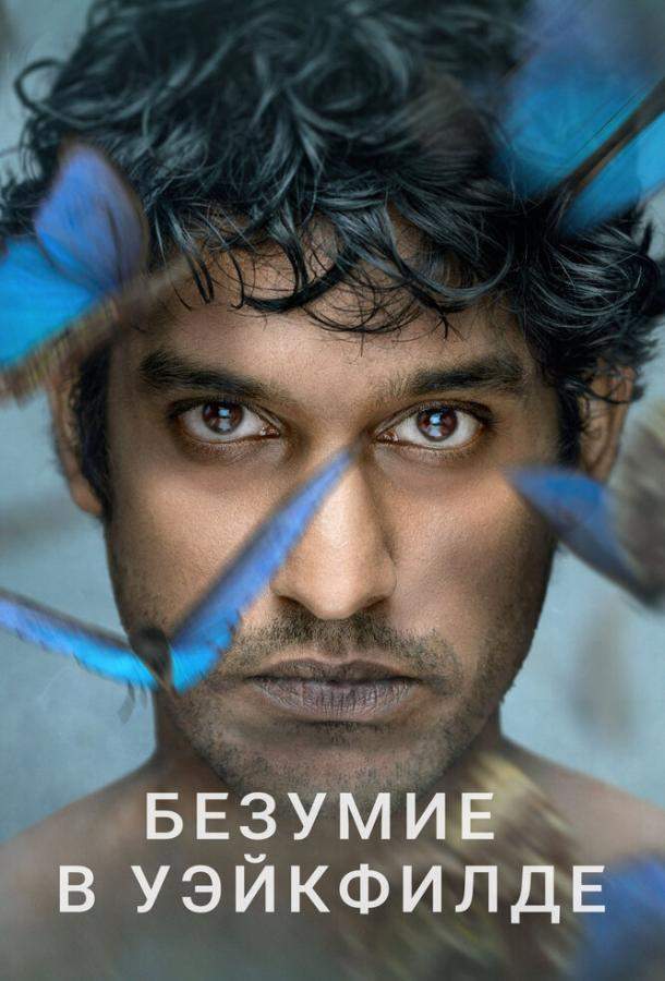 Безумие в Уэйкфилде 1 сезон